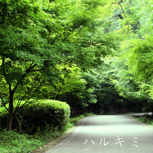 原神本子18❌动漫免费网站
